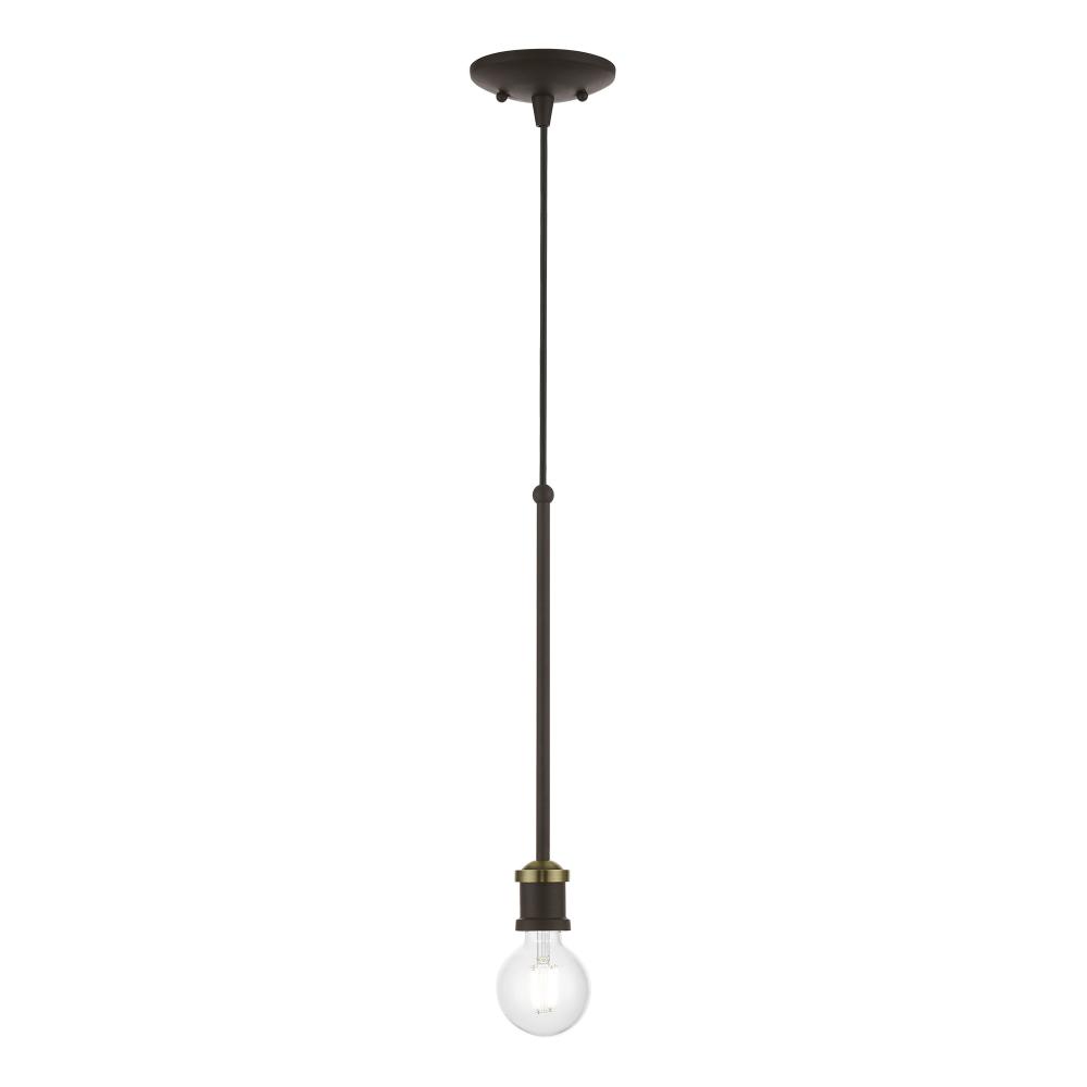 1 Light Bronze with Antique Brass Accents Single Pendant