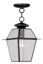 Livex Lighting 2183-04 - 1 Light Black Outdoor Chain Lantern