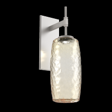Hammerton IDB0091-01-BS-A-L1 - Vessel Tempo Sconce (Large)-Beige Silver-Amber Blown Glass-LED 2700K