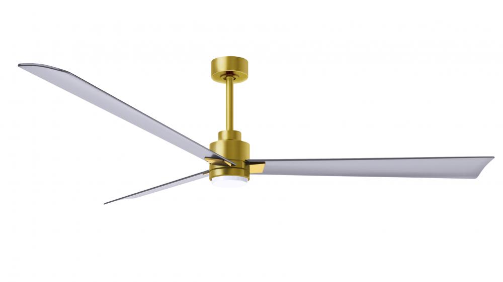 Alessandra 3-blade transitional ceiling fan in a brushed brass finish with brushed nickel blades.