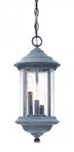Dolan Designs 919-51 - Three Light Driftwood Hanging Lantern