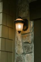 Dolan Designs 9220-34 - One Light Olde World Iron Wall Lantern