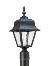 Generation Lighting 8255-12 - Polycarbonate Outdoor traditional 1-light outdoor exterior medium post lantern in black finish with