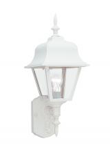 Generation Lighting 8765-15 - Polycarbonate Outdoor traditional 1-light outdoor exterior large wall lantern sconce in white finish