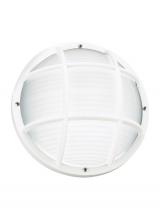 Generation Lighting 89807-15 - Bayside traditional 1-light outdoor exterior wall or ceiling mount in white finish with polycarbonat