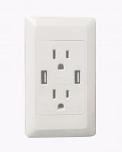 Cyber Tech Lighting OT2-2USB - Dimmers & Outlets for LED's, CFL's & Incandescents