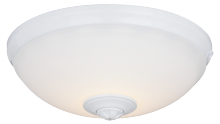Wind River KG500W - LED Universal Light Kit - Opal Glass
